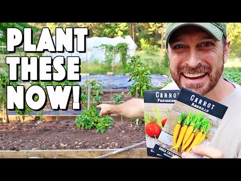 वीडियो: जोन 8 के लिए सब्जी रोपण गाइड - जोन 8 में सब्जियां उगाने के टिप्स