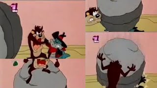 Tazmania - Hunt Taz Fun Nutcracker Boulder Moment 