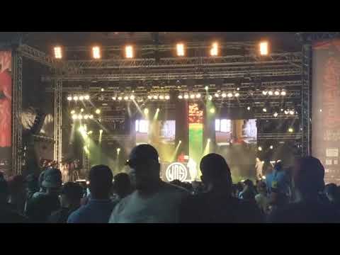 SHOBEE (Shayfeen) (Live l'boulevard 2018) - Money Call