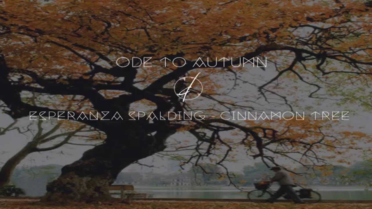 Esperanza Spalding Cinnamon Tree YouTube