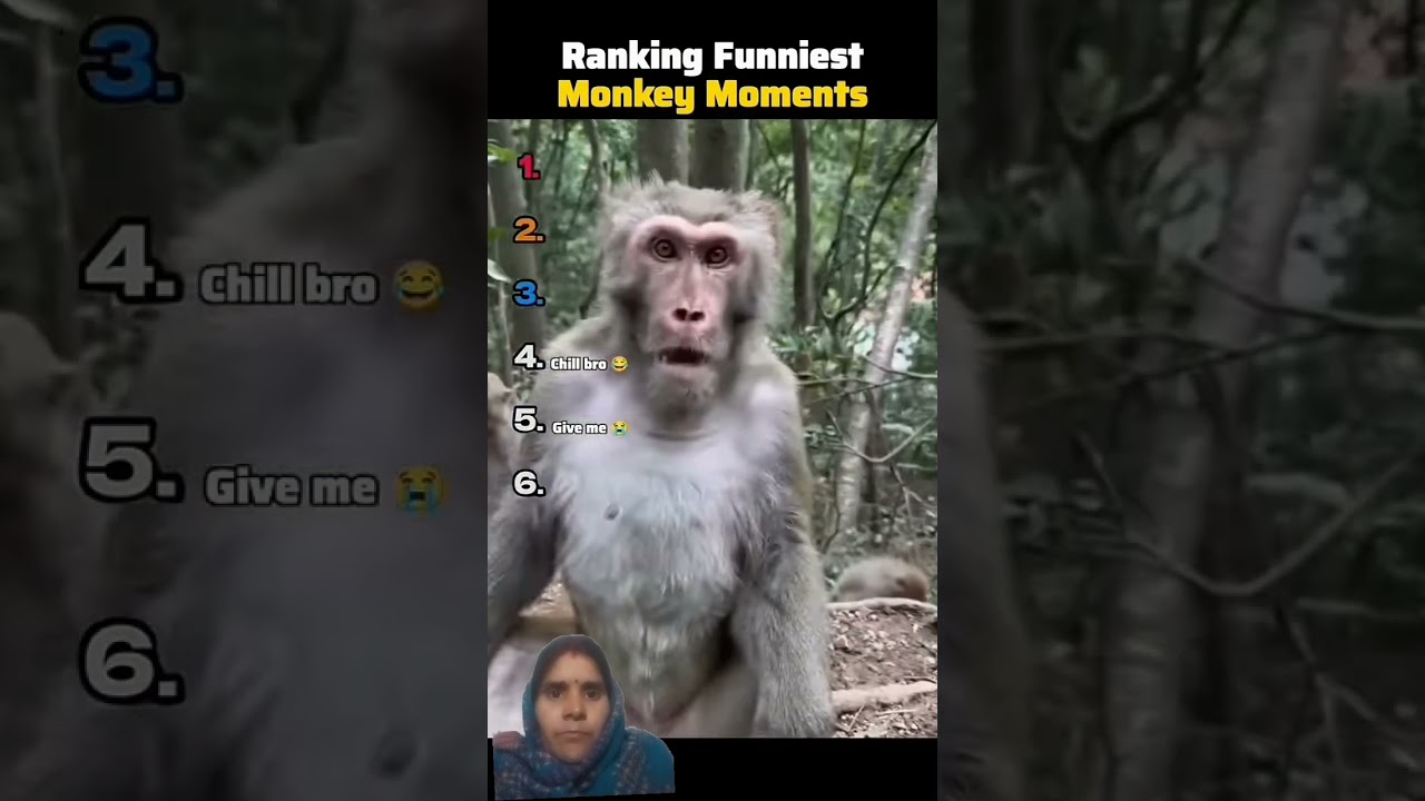 Lego City Lego City game#freefire #djalokanddiamondgiveawa #free #ajjubhaiandsoonee