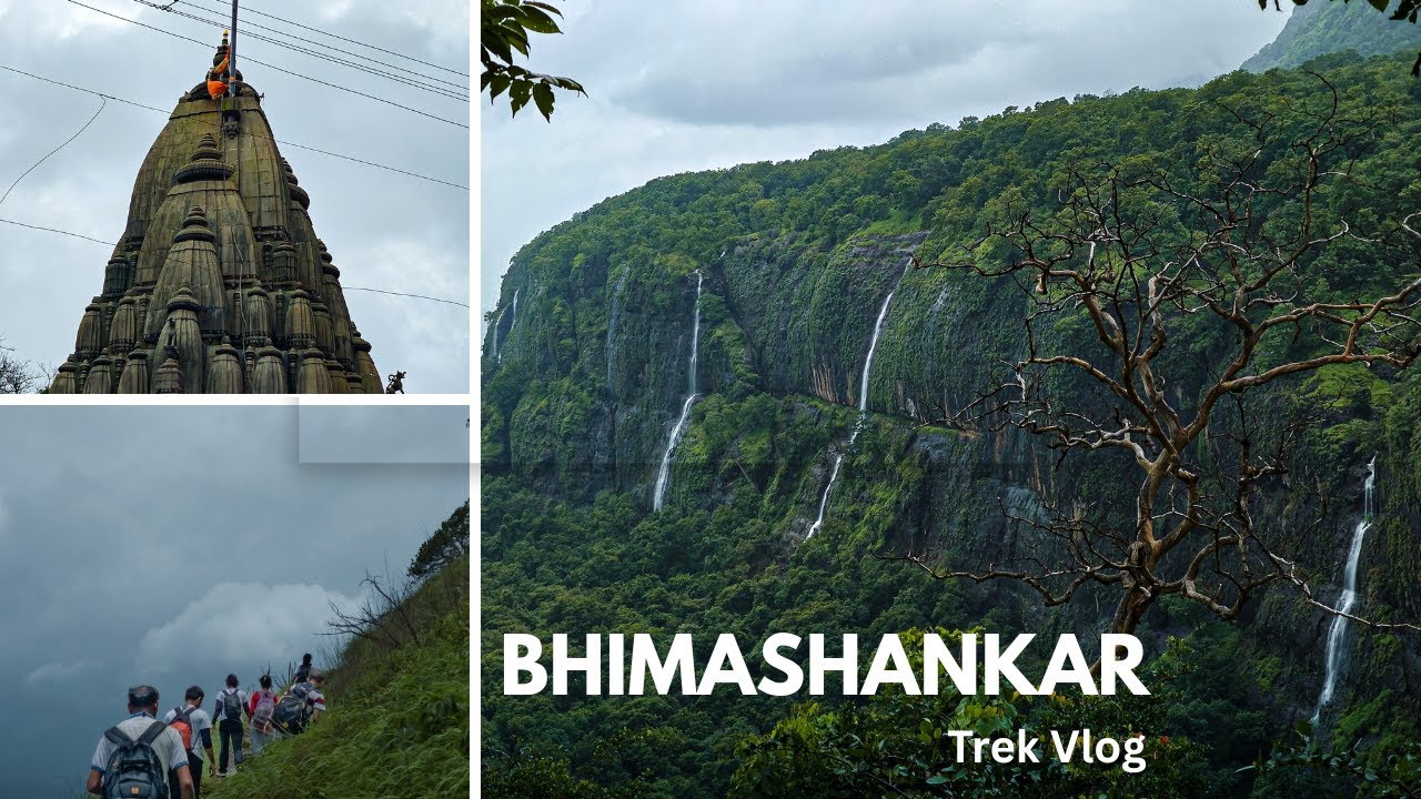 श्री भीमाशंकर | Bhimashankar Trek | Detailed vlog | Bhimashankar Jyotirlinga