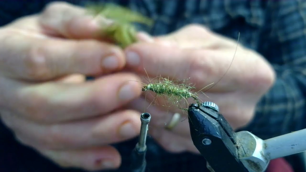 CT Olive Sparkle Wet