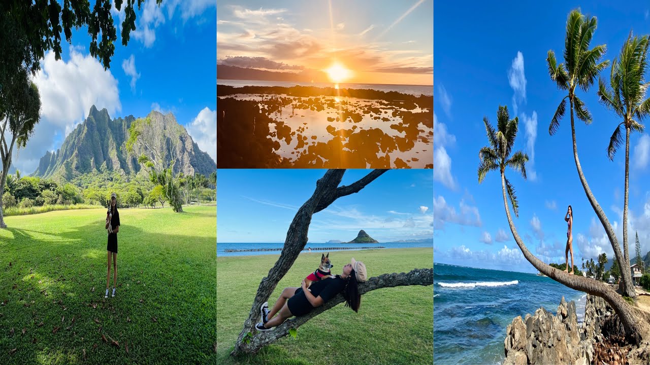 តំបន់ទេសចរណ៍ជនបទនៅ North Shore លើកោះ O’ahu, Hawaii Khmer 🇺🇸 VLOG