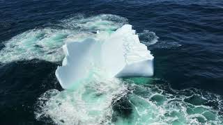 Famous Iceberg  Alley Heli-Tours Profile
