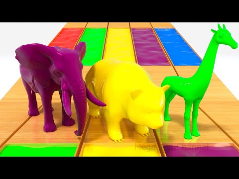 Animals in Pool with Magic Liquids | Learn Animals Names | Learn Colors for Kids Children Toddlers