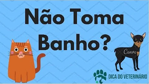Como dar banho no cachorro que tem medo?
