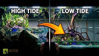Simulating Low Tide in My Giant Lagoon Vivarium