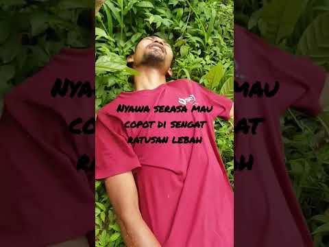 hampir pingsan di