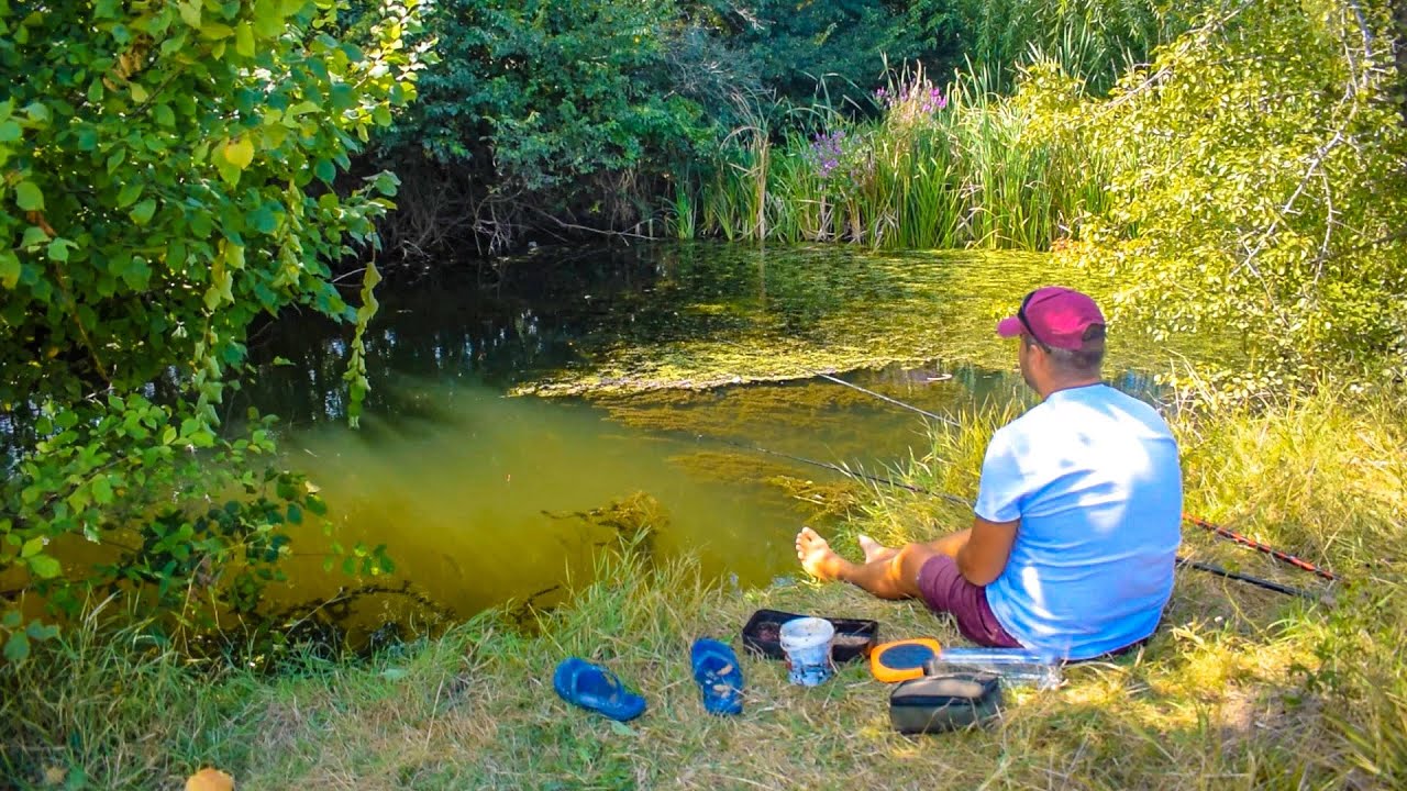 Береговая рыбалка на реке Нейлов, где я поймал карася, бабушку и облети!