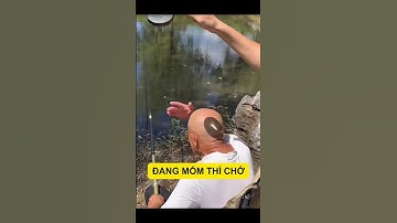 Vào Ad thì phải cho mấy nhát  #caucagiaitri #cauca #cauca2024 #caucarophi #caucarophi #CauCaDiec #ca