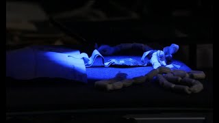Imprint Short Documentary | University of Lincoln