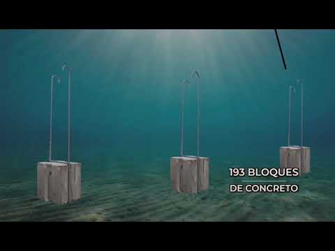 SEMAR concluye proyecto "Sembrado de Bloques de Concreto" en el polígono de la Vaquita Marina