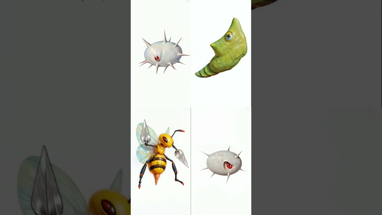 Weedle, Caterpie, & Wurmple Evolutions! | ビードル、キャタピー、ケムッソ進化！