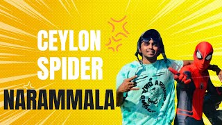 Ceylon Spiderman prank 2024 😂💔  (Ep.4)    (Spiderman new version) @CeylonSpider