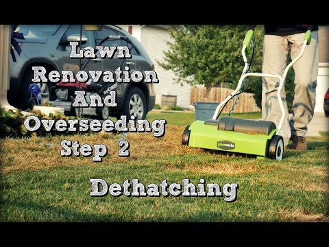 How to Dethatch A Lawn - Fall Lawn Renovation and Overseeding Project Step 2