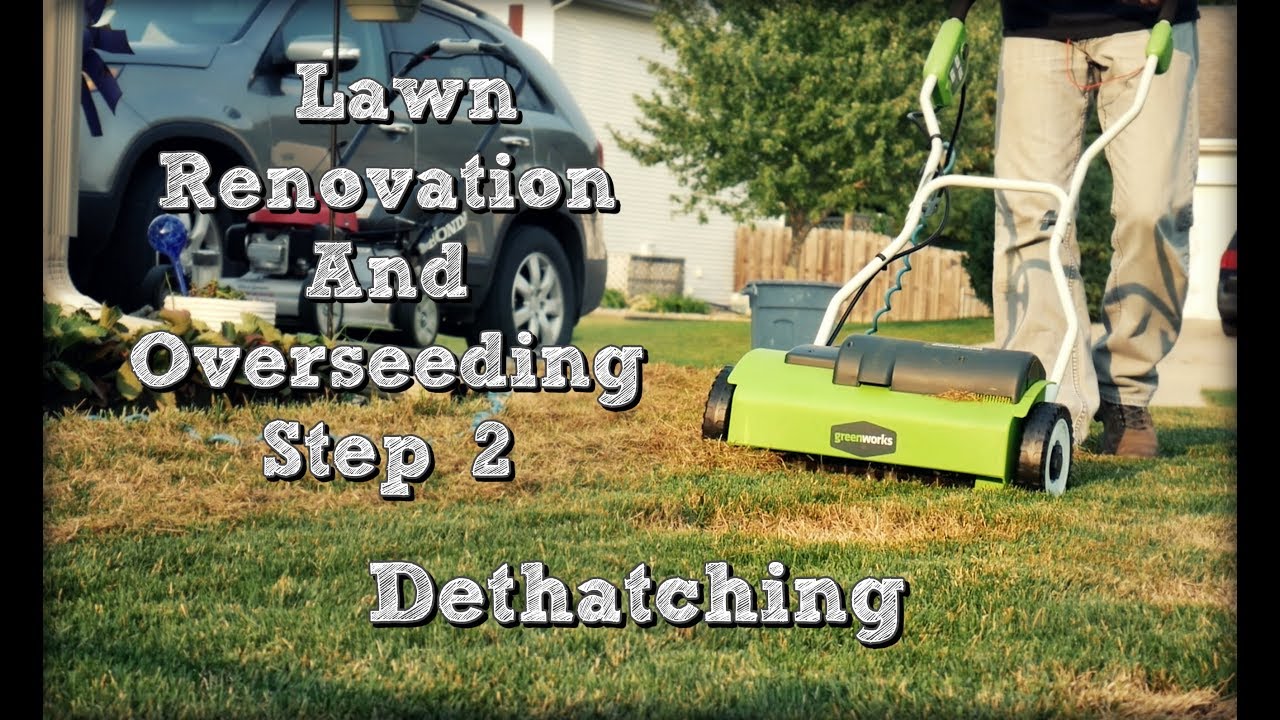 How to Dethatch A Lawn - Fall Lawn Renovation and Overseeding Project Step 2 - YouTube