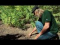 Jorge Cervantes: Heat Problems