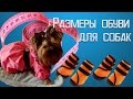 Размеры обуви для собак.