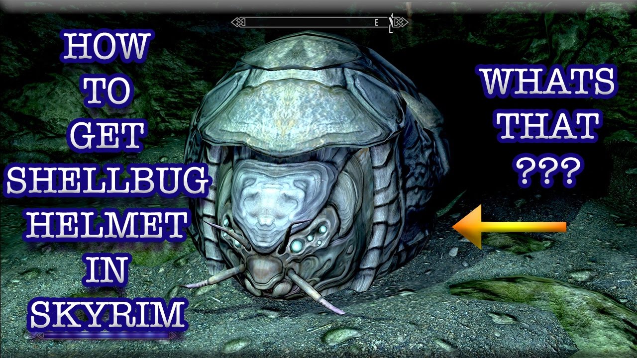 HOW TO MAKE A SHELLBUG HELMET (RARE CREATURE IN SKYRIM)2017 YouTube