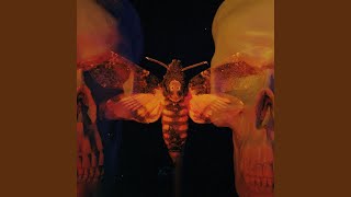 Download lagu Fatal Flaw