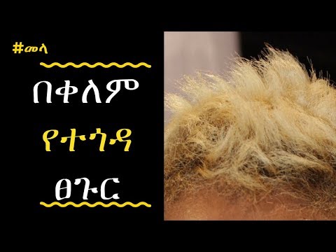 ቪዲዮ: ሜኖርካ ወደ አምበር ሄዷል?