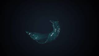 Loading And Discharging Of Frozen Blocks At Blue North