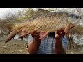 🐟BiG Rohu Fishing||Unbelievable FISHING||Rohu Fish Catching|Rohu Fishing|Unique Fishing