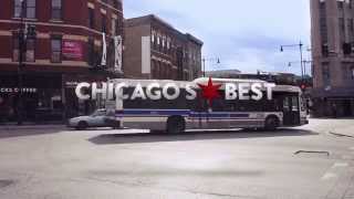 Chicago's Best Road Trip Spots