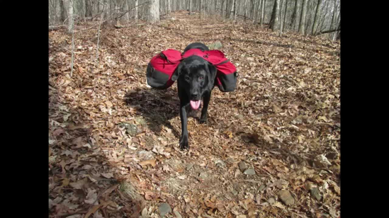 Backpacking To Bly Gap, North Carolina (Via The Appalachian Trail)