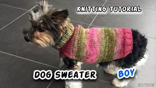 Small Dog Sweater For Boys Knitting Tutorial