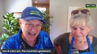 Top 10 Perennial Groundcovers for Hillsides