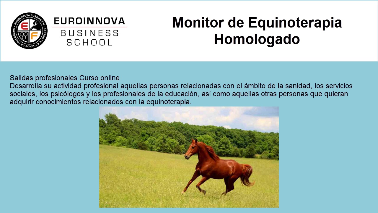 Cursos Youtube Online Euroinnova Cursos Youtube Online Euroinnova