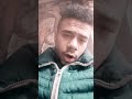 شله مغروره