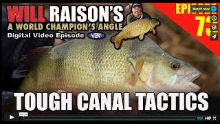 Target BIG Canal Perch & Silvers  | Will Raison Fishing