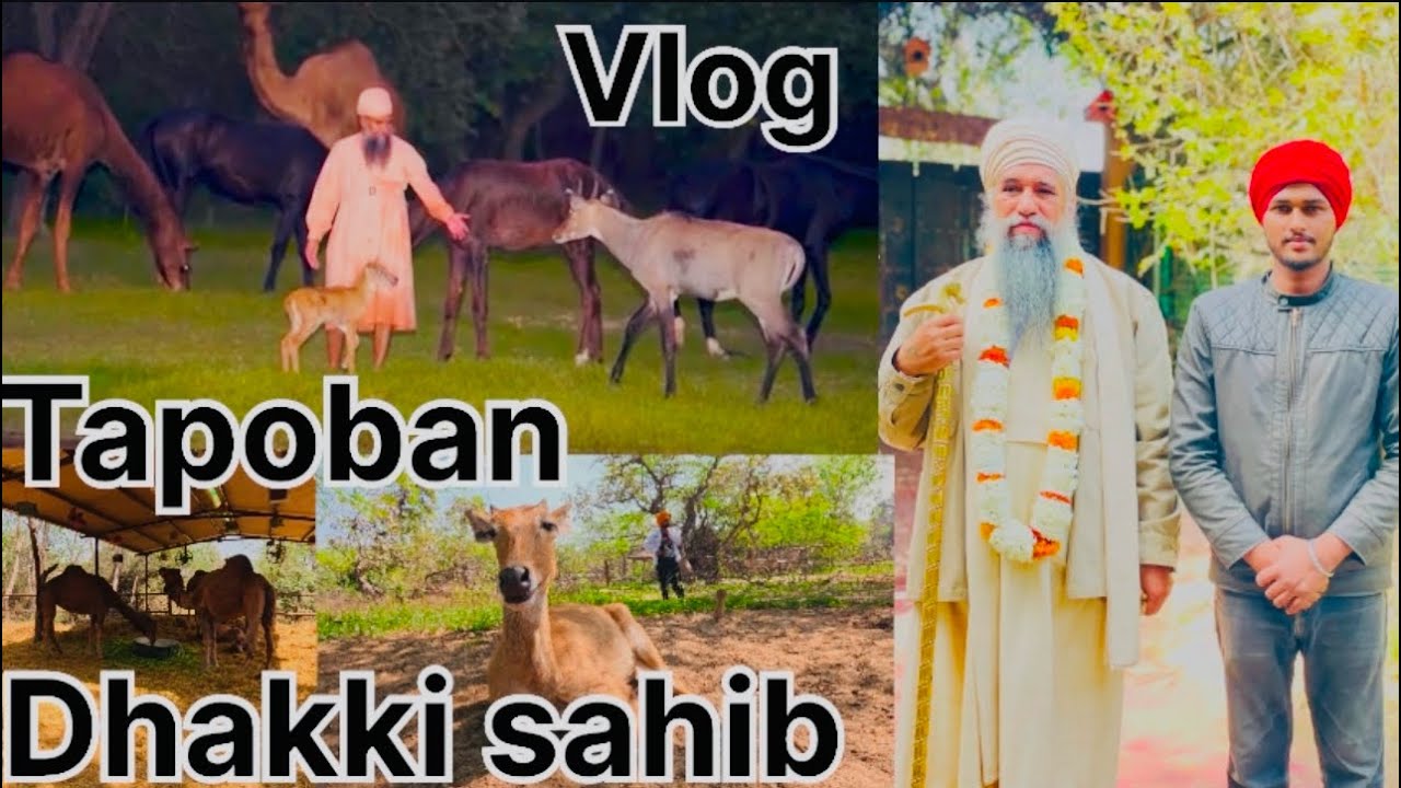 Ajj gye c Tapoban dhakki sahib ,Punjab #viralvideo #video #vlog #pets #petsvlog #animals#trending