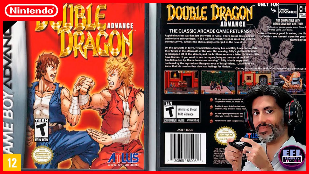 Double Dragon Advance Framed Print Ad/poster Official GBA Game 