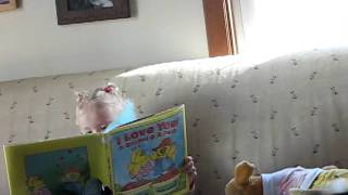 MVI_6737.AVI