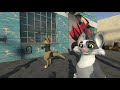 Middle of video