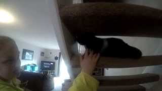 Angry Cat bites girl slow motion Gopro 4 120 Fps