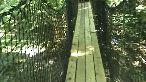 Tree House & Bridge Walk