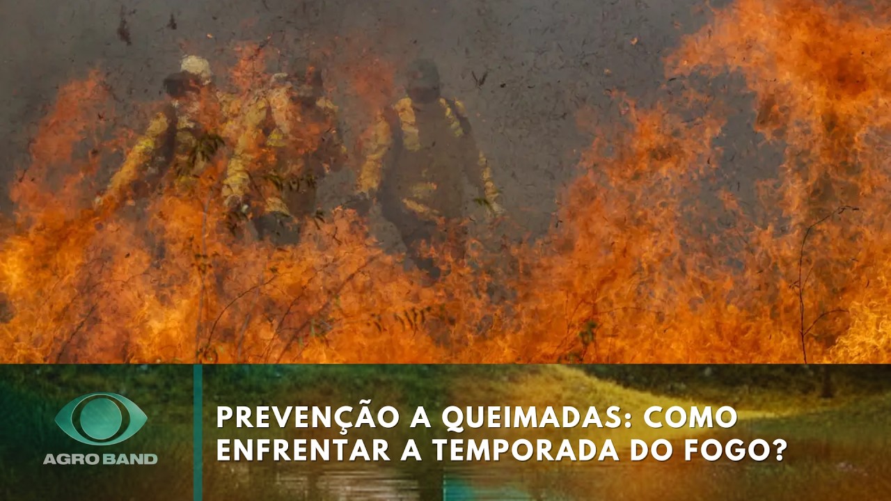 Prevenção a queimadas: como enfrentar a temporada do fogo?