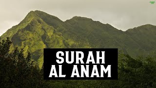 SURAH AL AN'AM FULL SURAH - HEART SOOTHING RECITATION