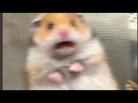 post-title