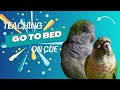 Going to Bed on Cue | Training Tutorials