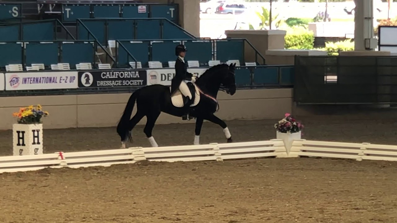 3 cavaliers américains attendus sur les Internationaux de dressage de Compiègne
