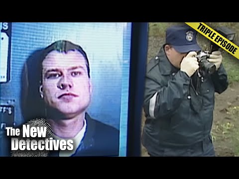 The Arachnid Leaks Case: A Forensic Expert Reveals ALL