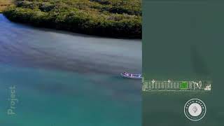 Green Dream Tulum Residential Lots for Sale