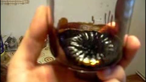 Homemade ferrofluid 3