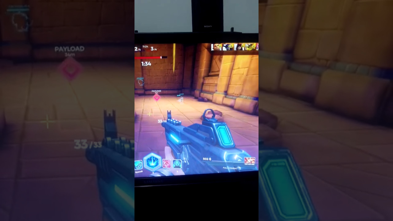 HACKER EXPOSED ON PALADINS (hacker name is "BlueRobin")